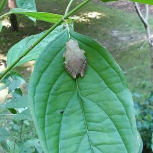 Meet your Posher, Todd